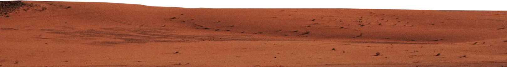 land.png